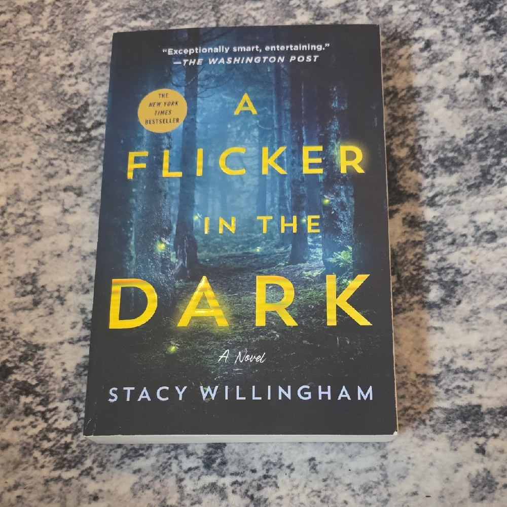 A Flicker in the Dark Novel